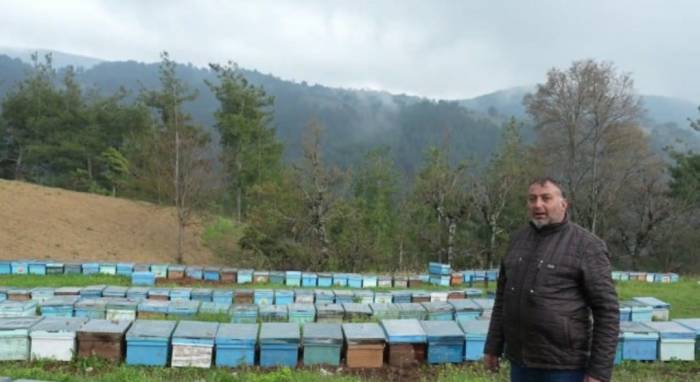 Devletten 30 Kovan Arı Aldı, 230 Kovana Çıkardı