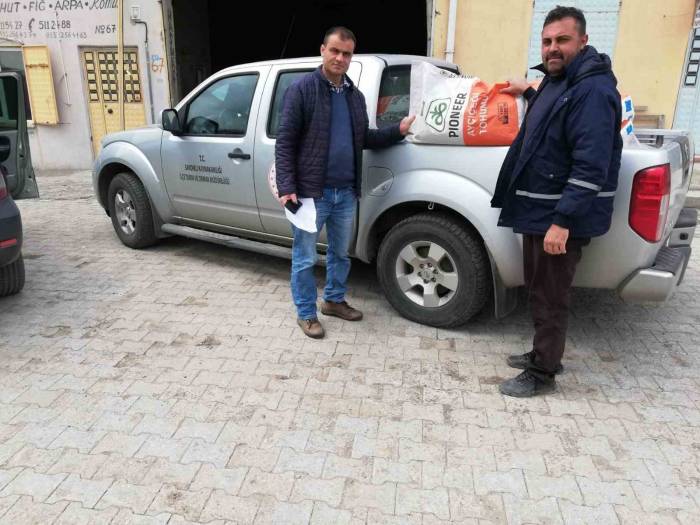 Çiftçilere Yüzde 75 Hibe İle Yağlık Ayçiçeği Tohumu Dağıtıldı