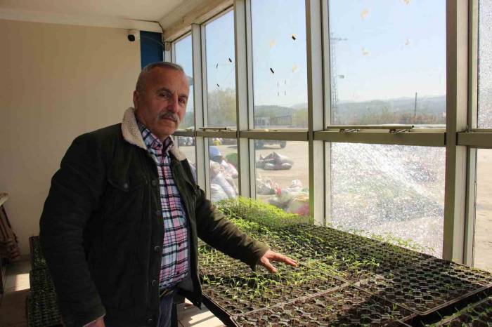 Dedesinden Kalma Altın Değerindeki Ata Tohumlarını Gelecek Nesillere Aktarıyor