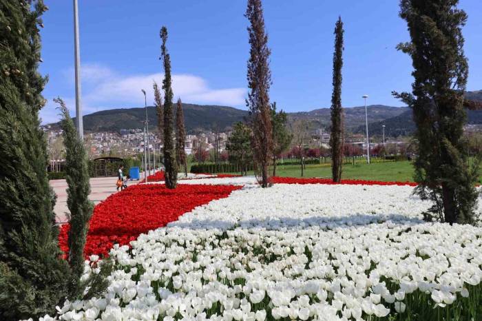 Baharın Tüm Renkleri Bursa’yı Sardı