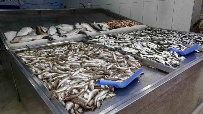 Denizlerde Endüstriyel Av Yasağı Başladı