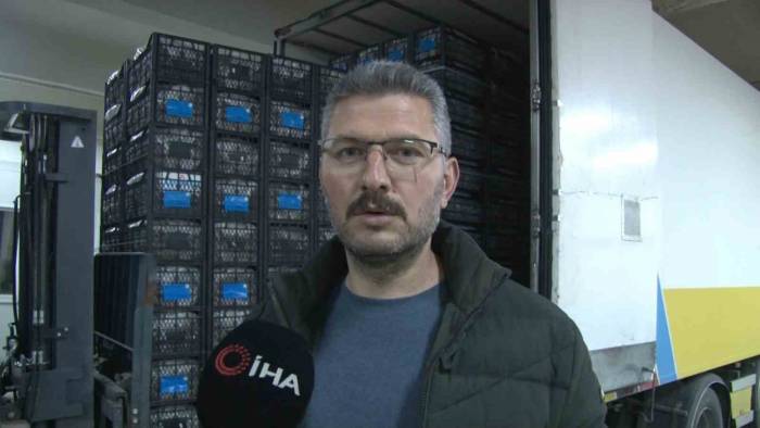 Kapadokya Çileği Ekonomiye 700 Bin Dolar Katkı Sağlıyor