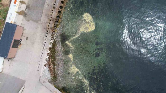 Kadıköy’de Müsilajı Andıran Görüntü