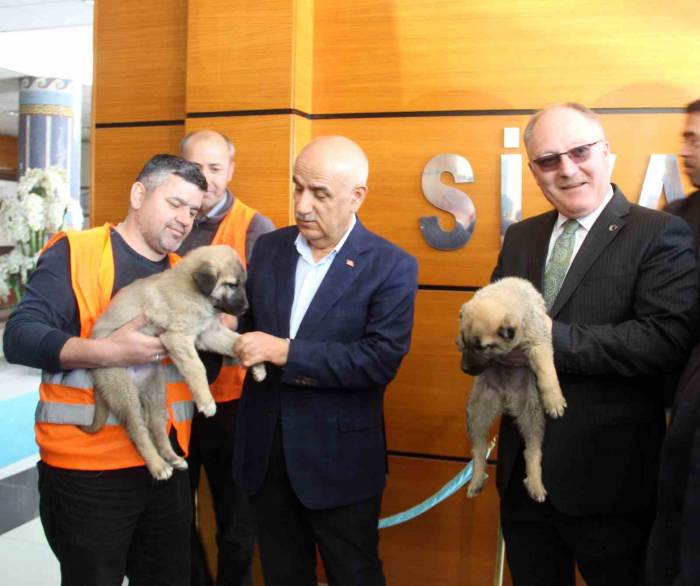 Bakan Kirişci: “sivas’ımızı Tarımsal Üretimde İlk Sıraya Yerleştireceğiz”