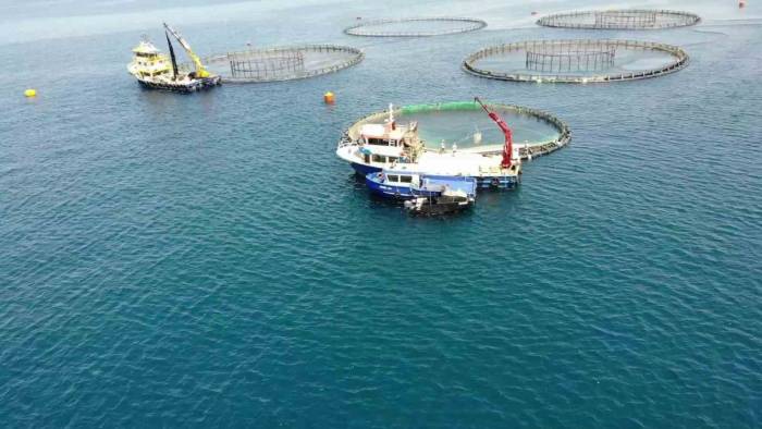 Su Ürünleri İhracatından 1,7 Milyar Dolar Gelir Elde Edildi