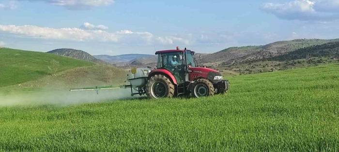 Yabani Otlara Karşı Ekinler İlaçlanıyor
