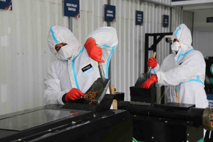 Adana’da Artık Yemekler, Sokak Hayvanları İçin Mamaya Dönüştü