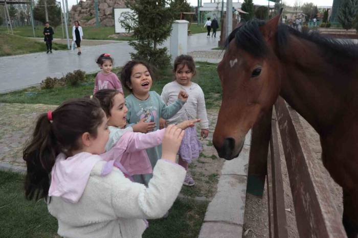 Ara Tatilde Hayvanat Bahçesine Yoğun İlgi