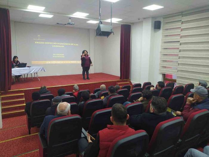 Mihalıççık’ta Kiraz Üreticilerine Yönelik Eğitimler Devam Ediyor