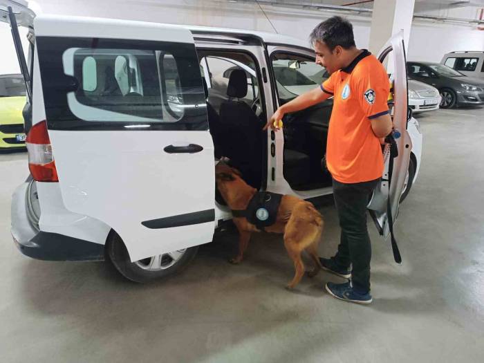 Bomba Arama Köpeği ‘niobe’ Göreve Hazır