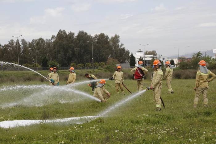 Aydın Orman İşletme Müdürlüğü’nde İşbaşı Eğitimi Yapıldı