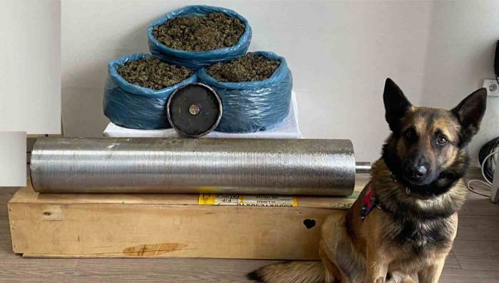 Yolcu Otobüsündeki 15 Kilo Uyuşturucuyu "asır" Buldu