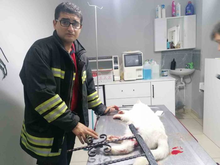 İtfaiye Kurtardığı Kediyi Veteriner Kliniğine Götürdü