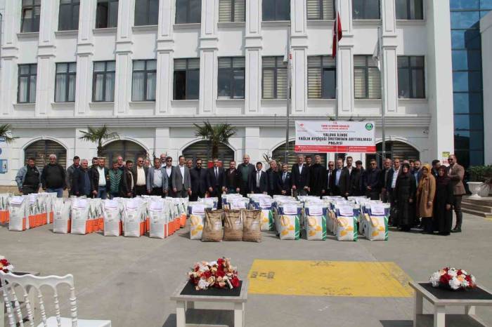 Yalova’da Çiftçilere Ayçiçeği Tohumu Dağıtıldı
