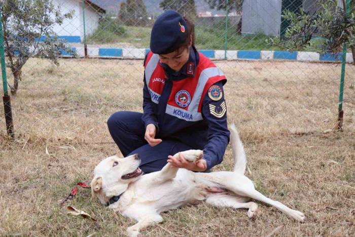 ’cesi’ Depremden 73 Gün Sonra Sahibine Teslim Edildi