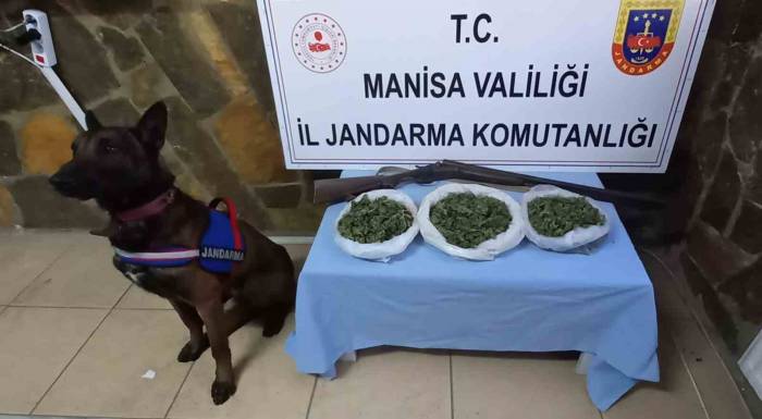 Salihli Ve Kula’da Uyuşturucu Operasyonu