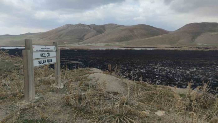 Birçok Kuş Türüne Ev Sahipliği Yapan Kazlıgöl Sazlığı Yandı