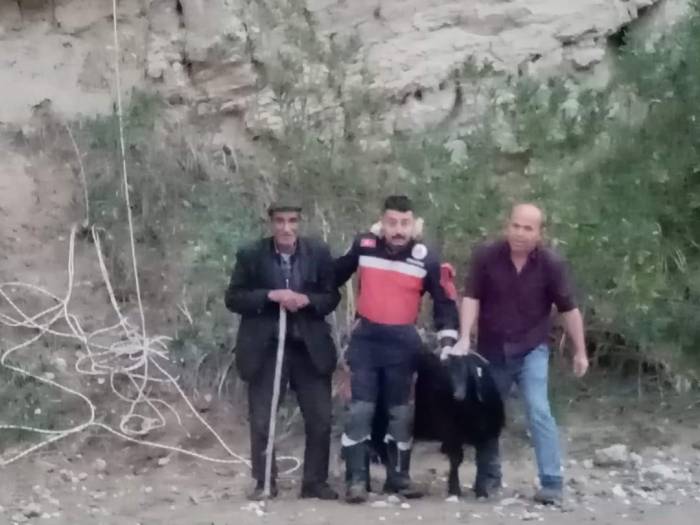 Keçinin Mahsur Kaldığı Yer Pes Dedirtti
