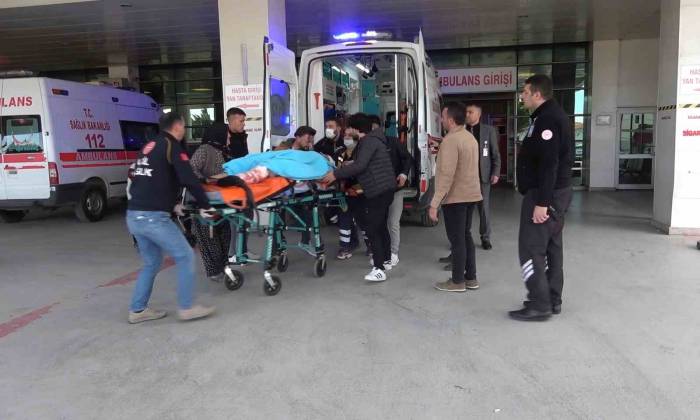 Tarlaya Giren Hayvan Kavgası Kanlı Bitti: Öldürdüğü Gardiyanın Kardeşini De Ağır Yaraladı