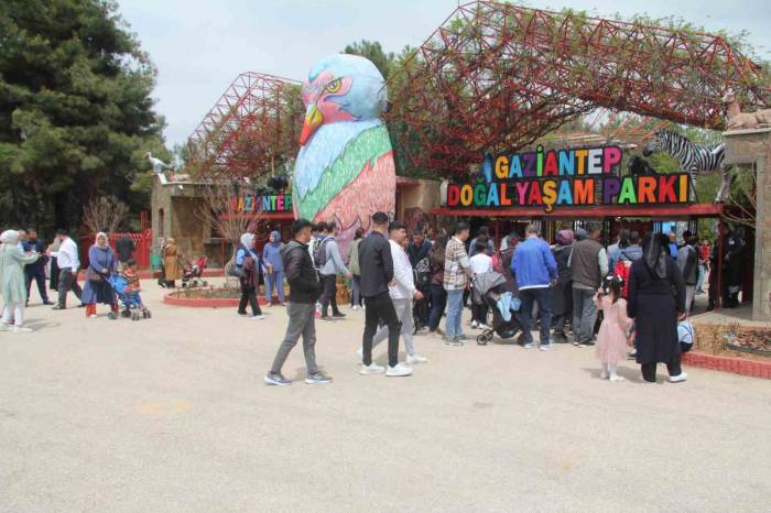 Hayvanat Bahçesini Bayramın İlk 2 Gününde 12 Bin Kişi Ziyaret Etti