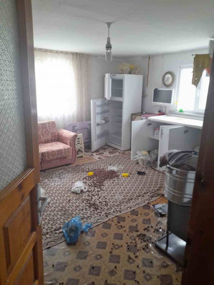 Gümüşhane’de Ayılar Yayla Evlerine Dadandı