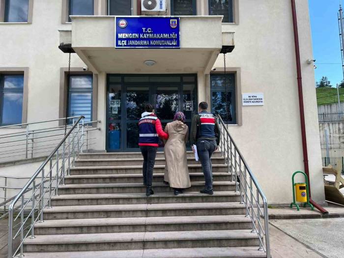 Bolu’da Fetö Operasyonu: 1 Gözaltı