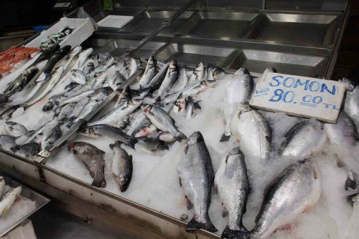 Balık Tezgahlarını Havuz Balıkları Süslüyor