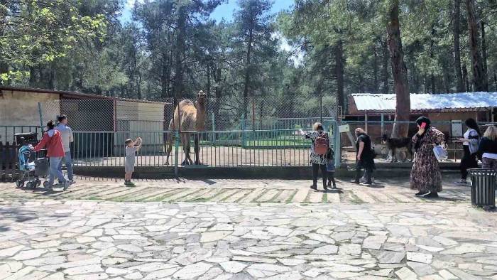 Faciadan Dönülen Hayvanat Bahçesinde Önlemler Artırıldı