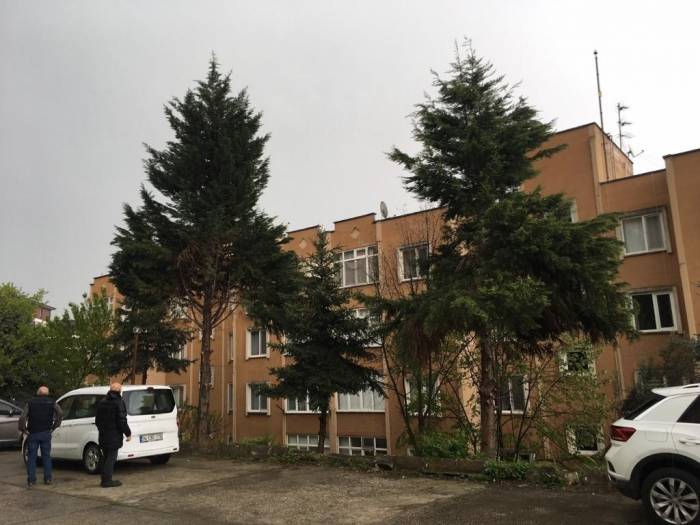 İzmit Belediyesi Tehlike Arz Eden Ağaçlara Müdahale Edecek