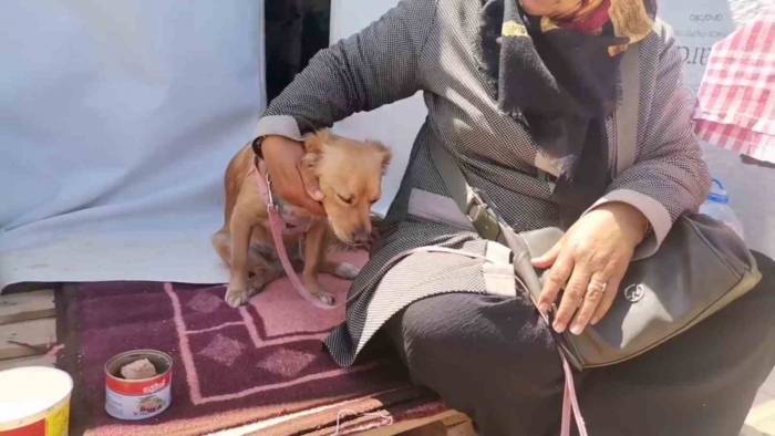 Kahramanmaraş’ta Depremde Kendisini Kurtaran Köpeğiyle Beraber Çadır Kentte Yaşamını Sürdürüyor