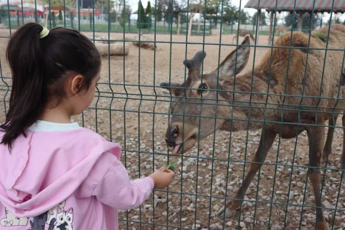 Vatandaşlar Bayramda Hayvanat Bahçesine Akın Etti: 100 Bin Ziyaretçi