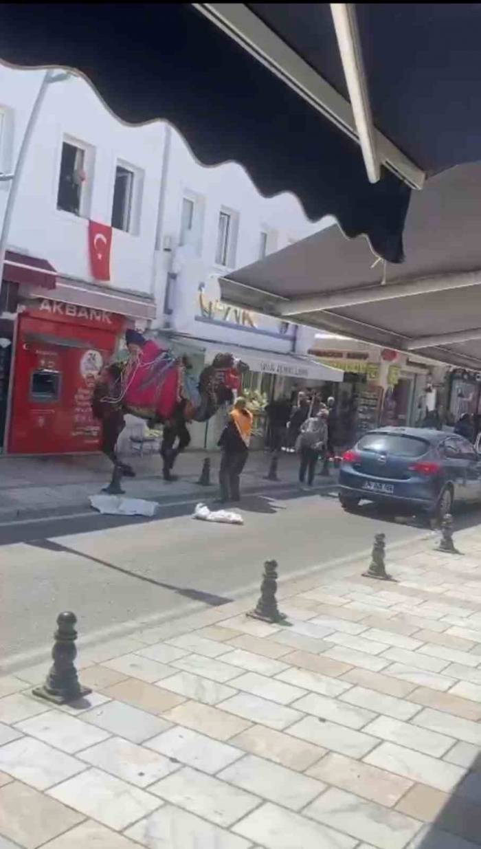 Bodrum Çarşısında Panik Anları