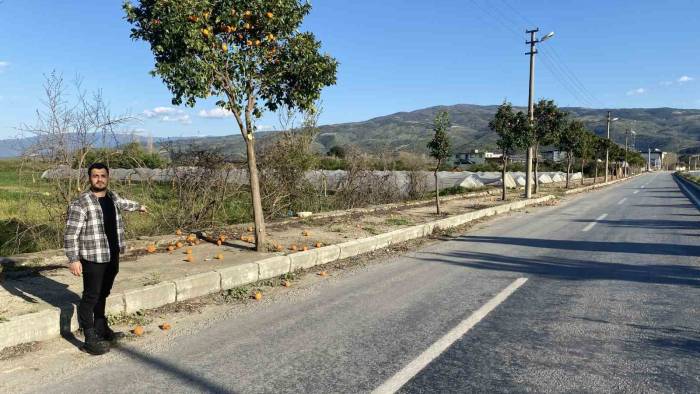 Pidelerin Vazgeçilmezi Turunçlar Sokağa Döküldü