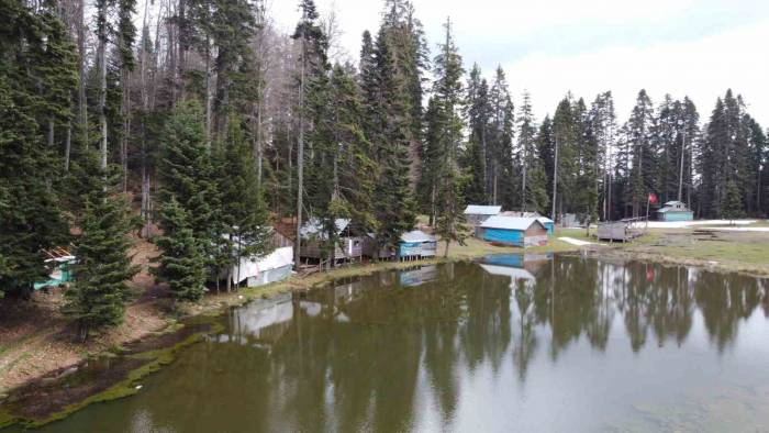 Bolu’nun Doğa Harikası Yaylası Ziyaretçilerini Ağırlıyor