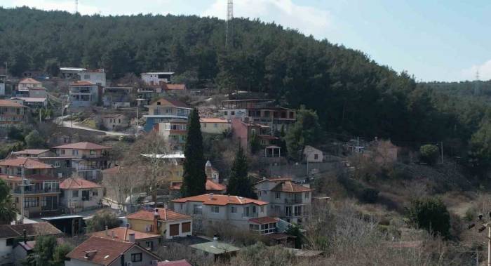 Asırlık Camiye Ve Ormanlarına Gözü Gibi Bakıyorlar