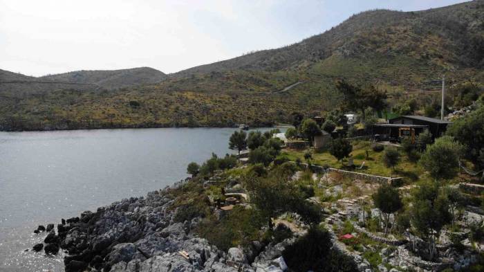 Çökertme Koyu Küllerinden Yeşeriyor