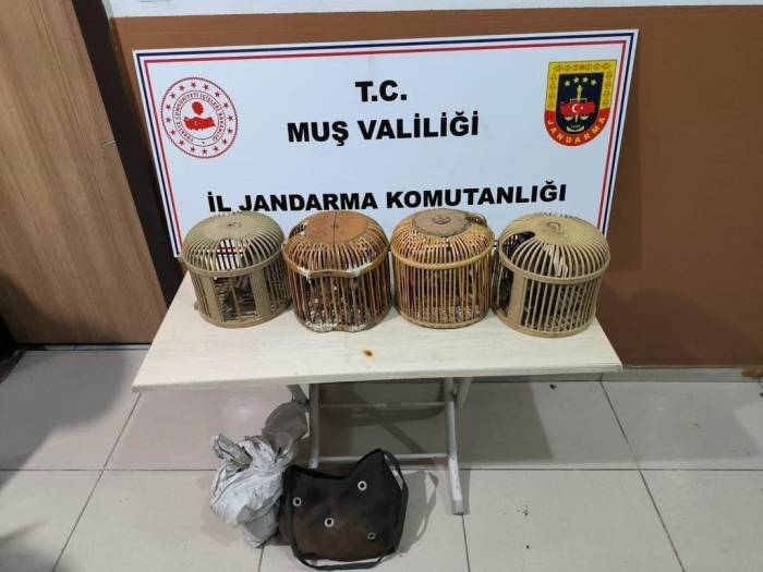 Muş’ta Keklik Avlayan 5 Kişiye 72 Bin 249 Tl İdari Ceza Verildi