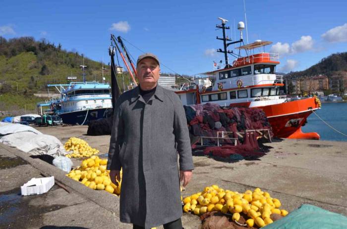 Balıkçıların Yüzü Sezonda Palamut İle Güldü