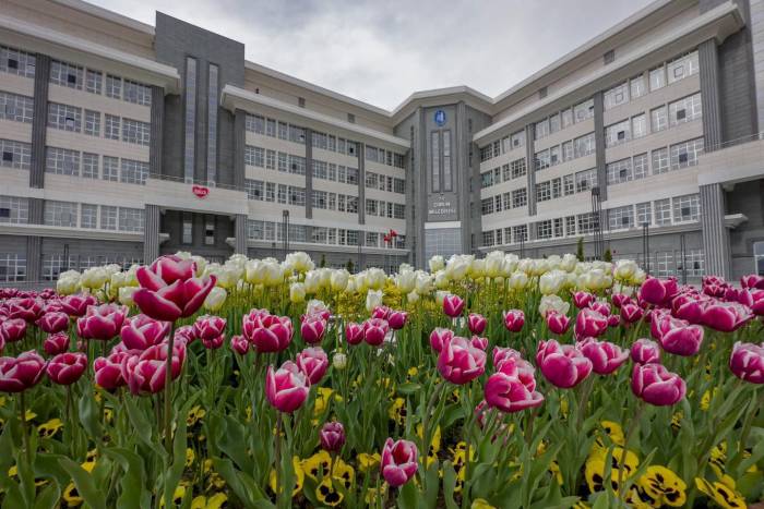 Belediye, Şehri Lale Ve Sümbüllerle Donattı