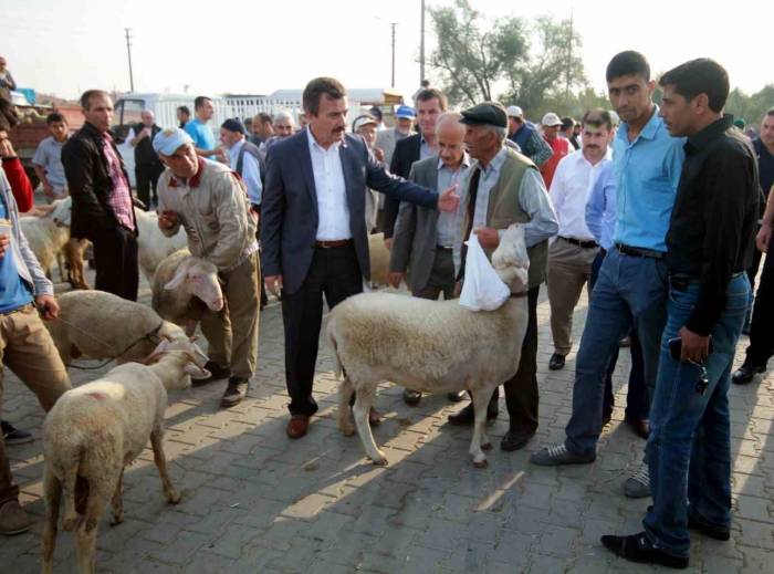 Bursa’da Hayvan Pazarları Açılıyor