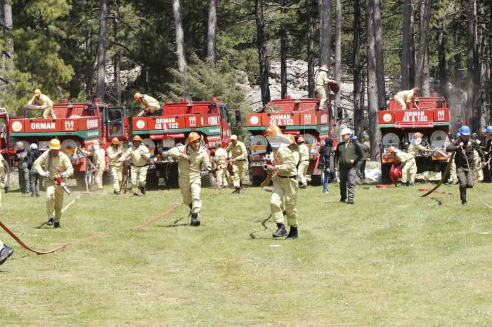 Yılanlı Ve Muğla Orman İşletme Müdürlüklerinde İşbaşı Eğitimi