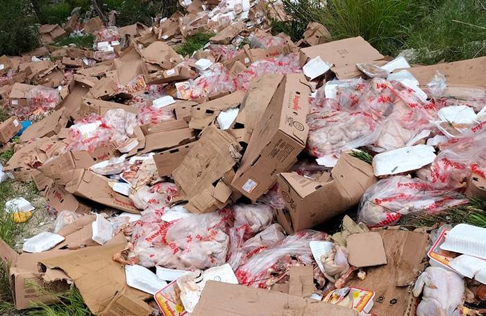 Paket Paket, Koli Koli Ormana Dökmüşler