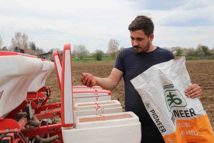 Havaların Isınmasıyla Dane Mısır Ekimleri Başladı