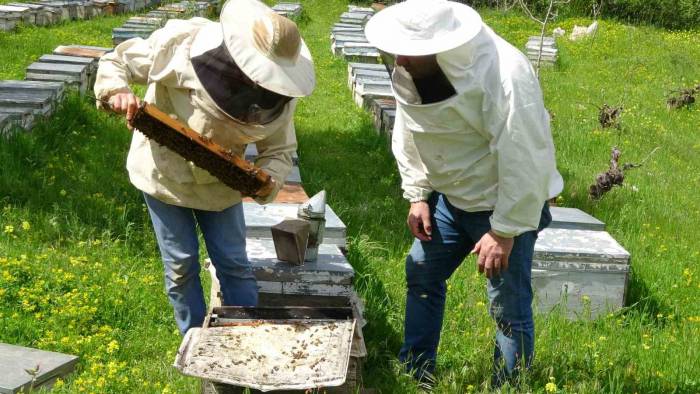 Siirt’te Bahar Yağmurları Arıcıların Yüzünü Güldürdü