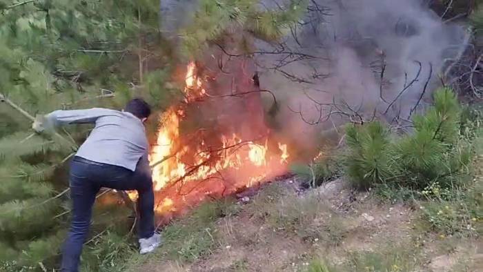 Son 10 Yılda Çeşitli Sebeplerden 276 Orman Yangını Meydana Geldi