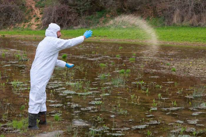Sağlıklı Yaz İçin Larvasit Çalışmaları Sürüyor