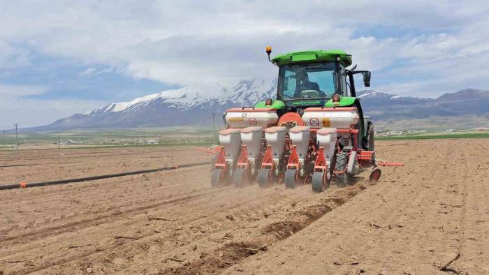 Adilcevaz’da Şeker Pancarı Ekimi Başladı