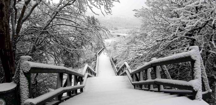 Abant, Nisan Ayında Beyaz Örtüyle Kaplandı