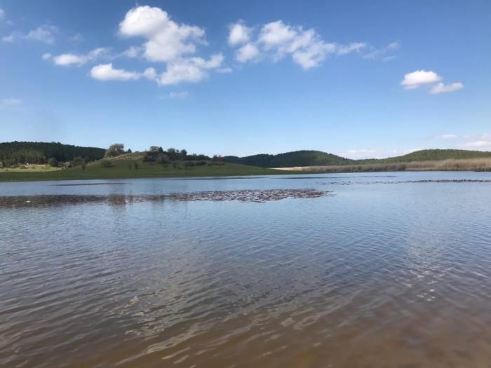 Nilüferler Açmak İçin Gün Sayıyor