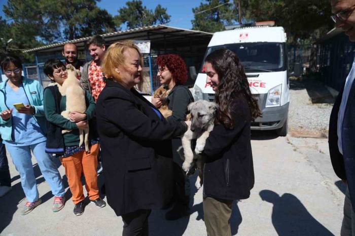 Dünya Veteriner Hekimler Günü Kutlandı